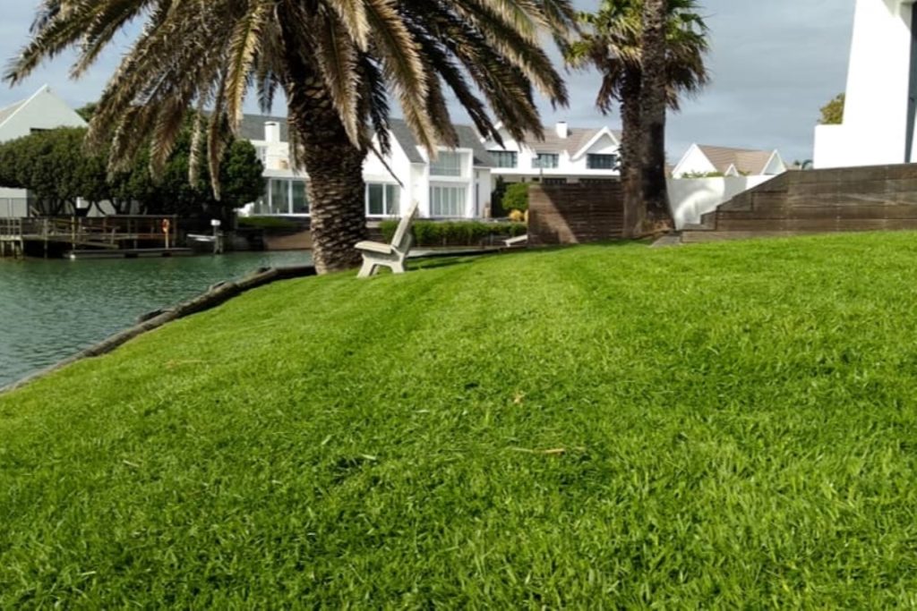 Image of a lawn